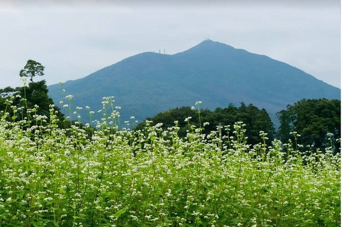 Snow Monkey Nagano or Mt Tsukuba Day Tour by Car English Driver - Pricing and Cancellation