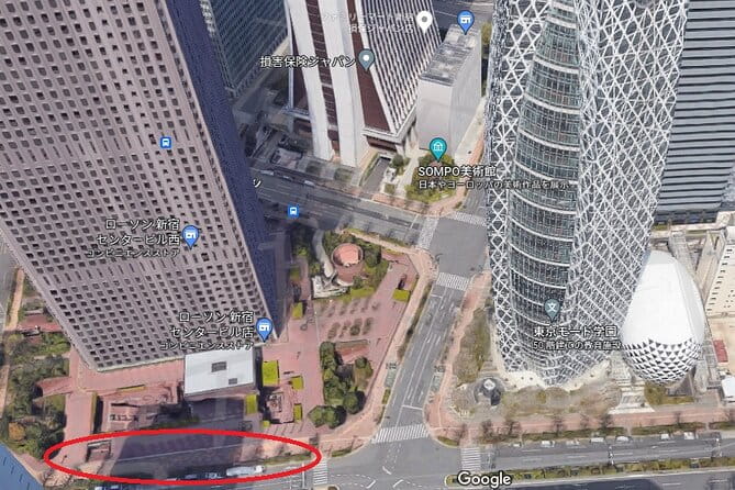 Snow Monkey, Shiga Kogen Roman Museum With Lunch Buffet - Snow Monkey Viewing