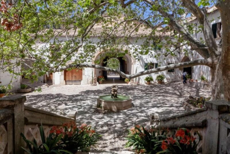 Soller: Alfabia Gardens Entrance Ticket - Highlights of the Experience