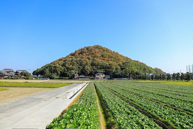 Spend Special Time Enjoying Local Food in Zentsuji, Kagawa - Exploring Zentsuji, the Heart of Kagawa