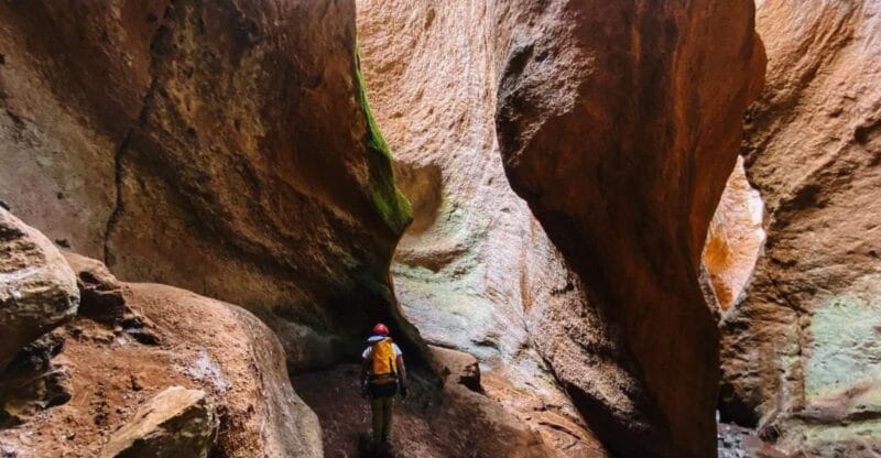 Tenerife: Guided Canyoning Experience in Los Arcos - Activity Overview