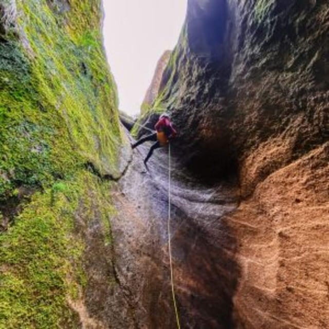 Tenerife: Guided Canyoning Experience in Los Arcos - Highlights of the Experience