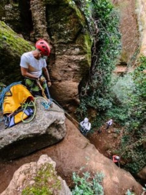 Tenerife: Guided Canyoning Experience in Los Arcos - Customer Feedback