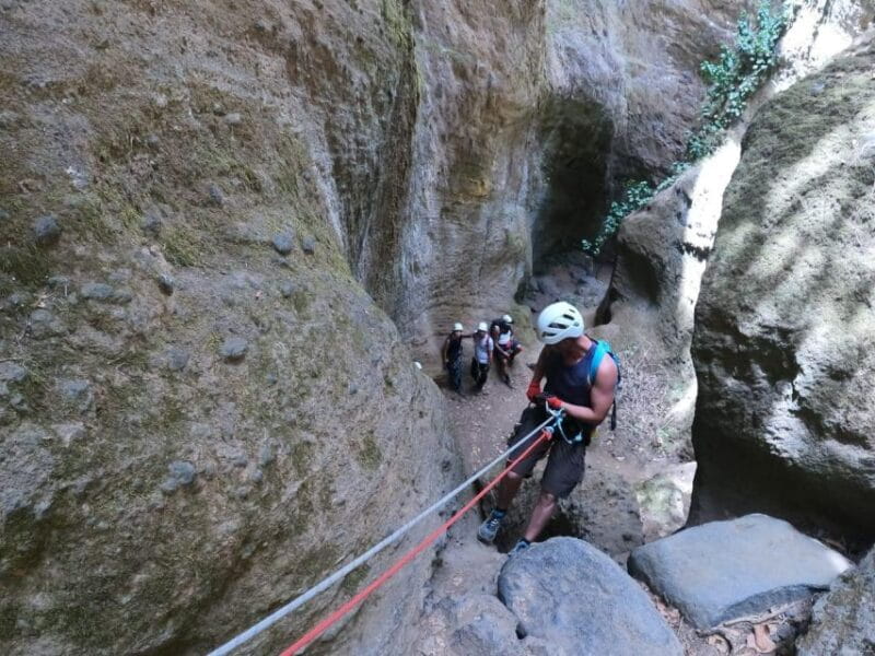 Tenerife: Guided Canyoning Experience in Los Arcos - Things To Know