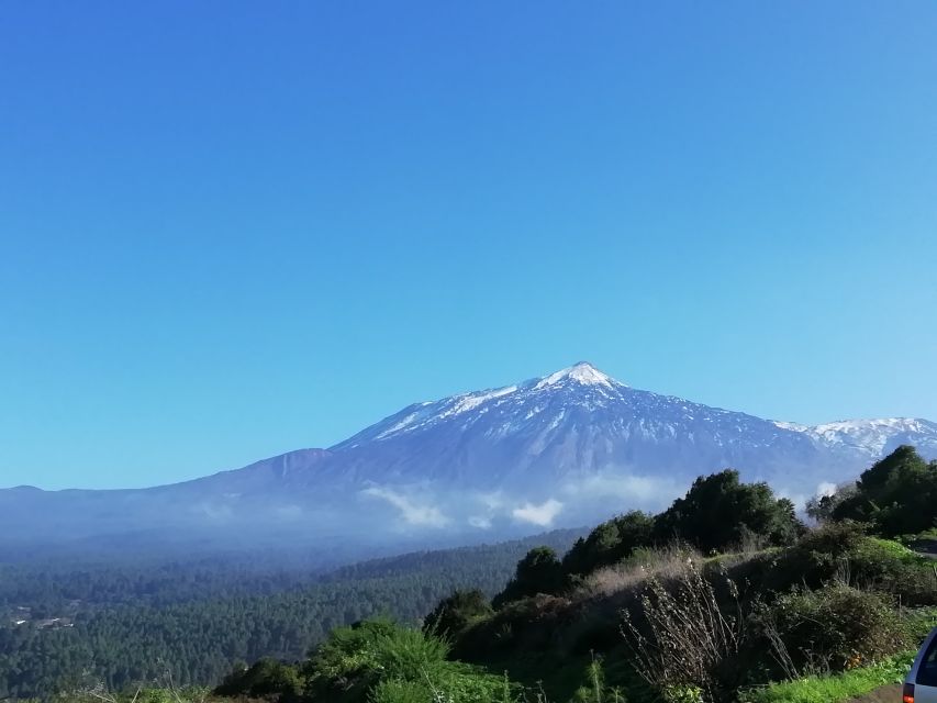 Tenerife: Guided Horseback Riding Tour to the Lomo Forest - Key Points