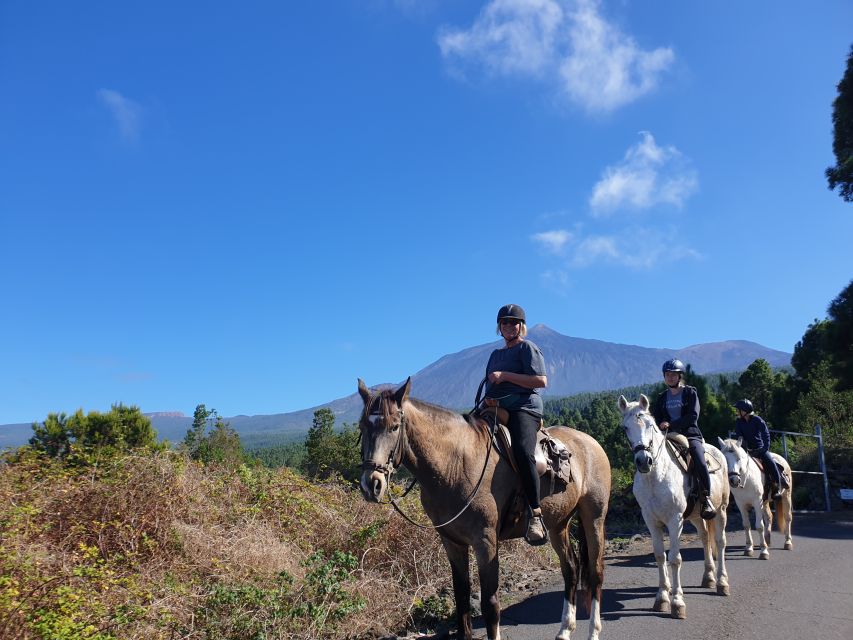 Tenerife: Guided Horseback Riding Tour to the Lomo Forest - Tour Overview