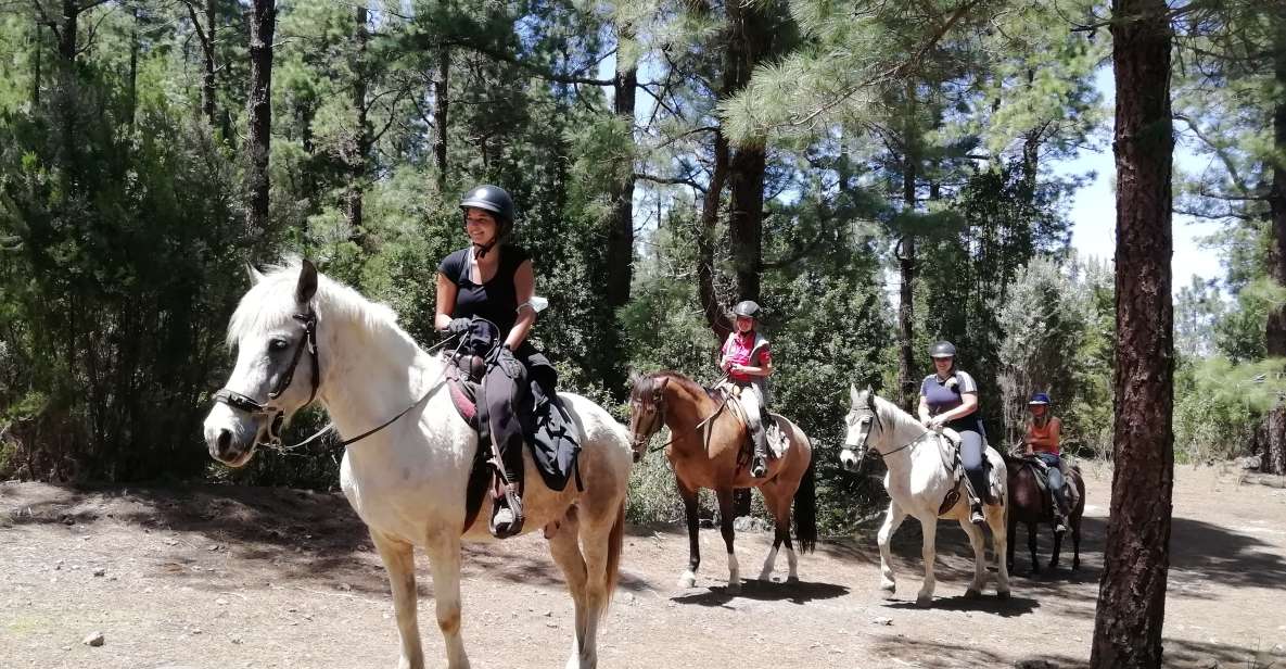 Tenerife: Guided Horseback Riding Tour to the Lomo Forest - Required Gear and Attire
