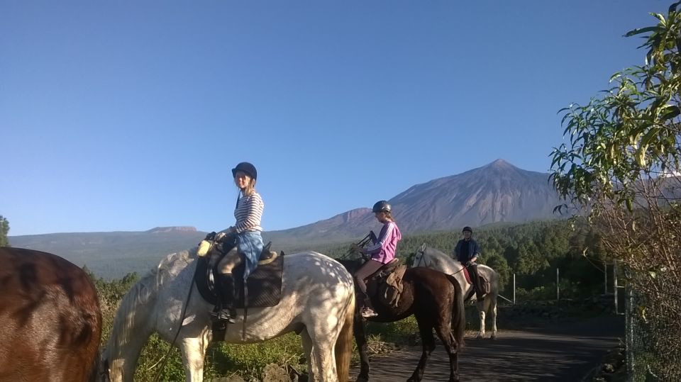Tenerife: Guided Horseback Riding Tour to the Lomo Forest - Meeting Point and Directions