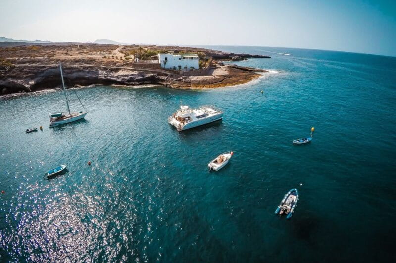 Tenerife: Marine-Life Tour With Transfer, Buffet and Drinks - Things To Known