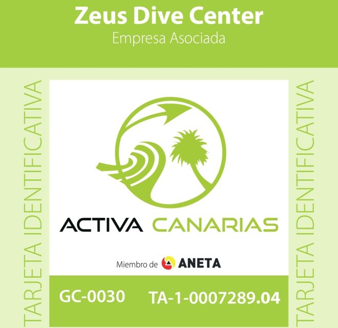 Tenerife Scuba Diving for Certified Divers - Key Points