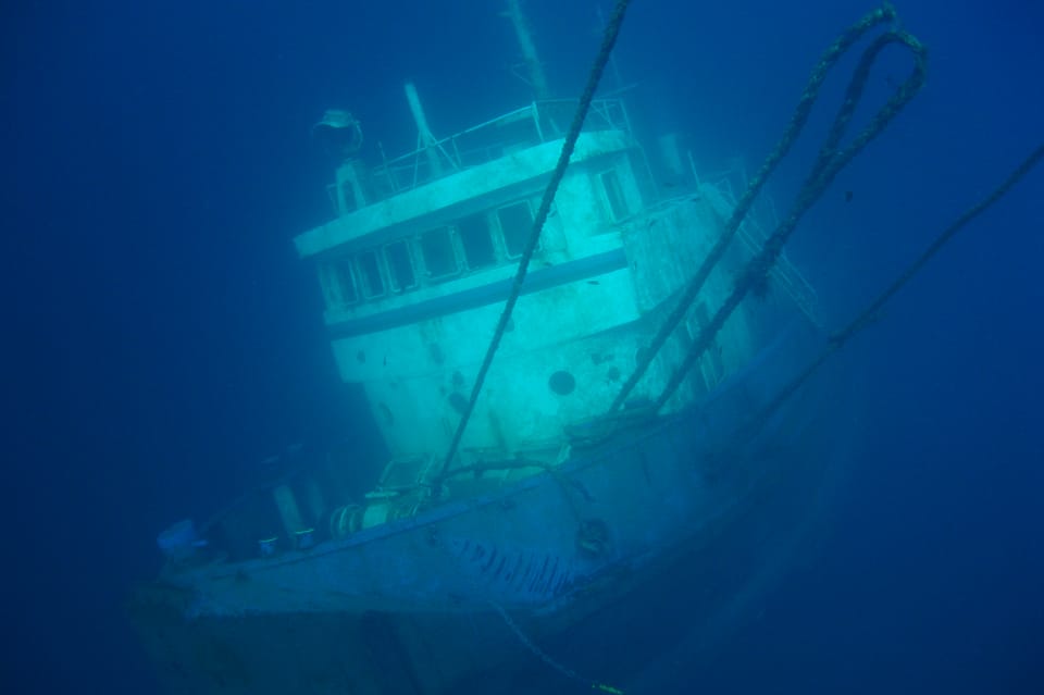 Tenerife Scuba Diving for Certified Divers - Highlights and Marine Life