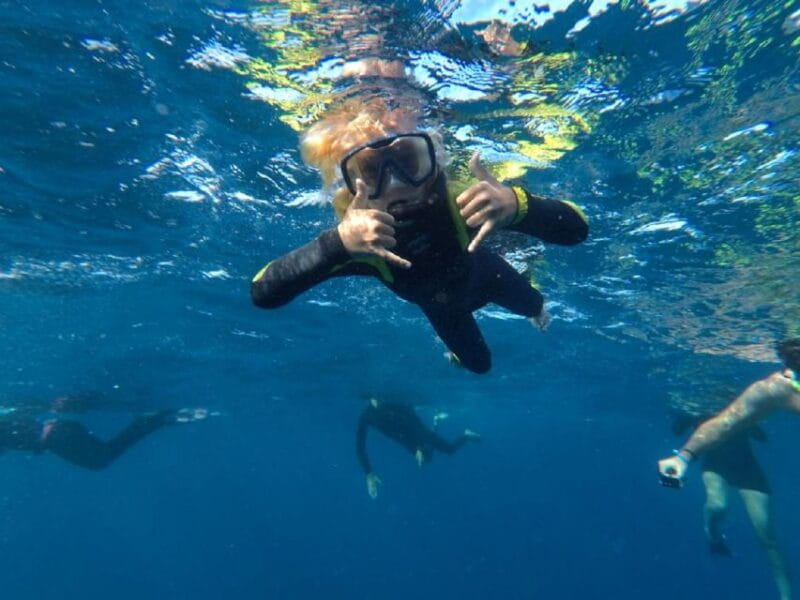 Tenerife: Underwater Lava Tongues Snorkel Excursion - Key Points