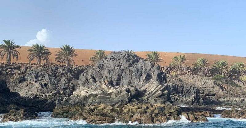 Tenerife: Underwater Lava Tongues Snorkel Excursion - Participant Age Requirements