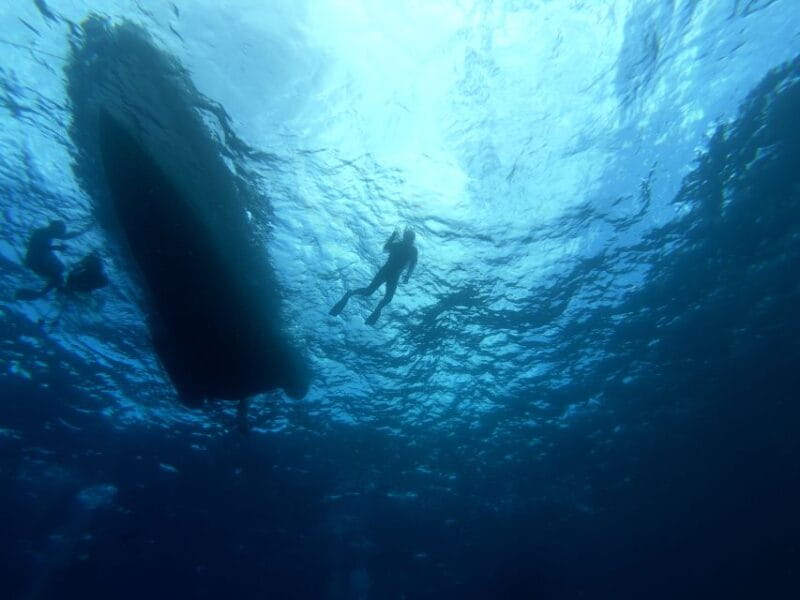 Tenerife: Underwater Lava Tongues Snorkel Excursion - Customer Reviews and Ratings