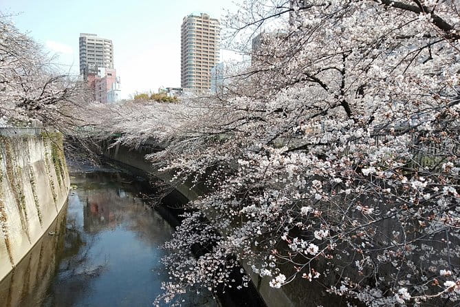 Tokyo 1-Day Private Tour/Customization & Hotel Gathering OK! - Customizable Itinerary