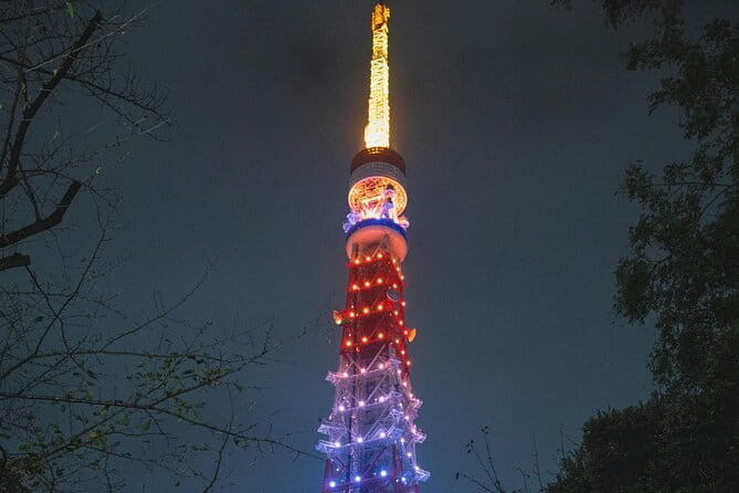 Tokyo 2-Day Private Walking Tour With Licensed Guide - Pricing and Payment Options