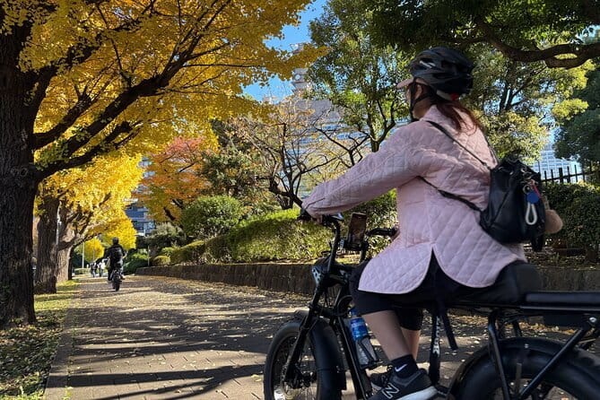 Tokyo 3-Hour Guided E-bike Cycling Tour of the Citys Hidden Gems - Navigating the Vibrant Streets on E-bikes