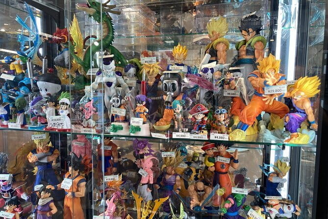 Tokyo Akihabara Anime Manga Video Games and Hidden Gems Tour - Inclusions and Additional Offerings