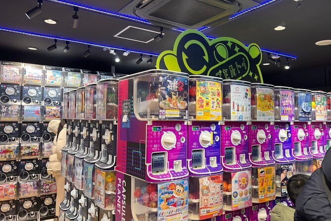 Tokyo Akihabara Anime Manga Video Games and Hidden Gems Tour - Booking and Reservation Process