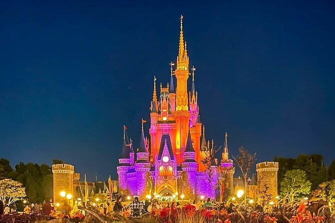 Tokyo Disney Resort Park E-Tickets With Optional Tokyo Metro Pass - Pricing and Reviews