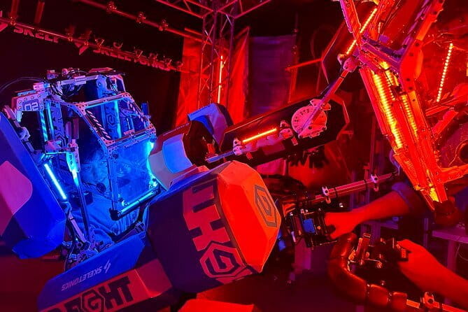 Tokyo Disney Resort Park E-Tickets With Optional Tokyo Metro Pass - Included in the Package