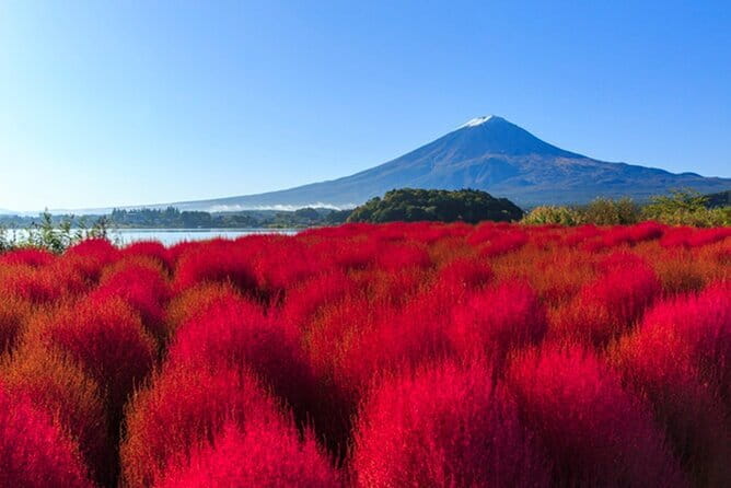 Tokyo: Mt. Fuji and Lake Kawaguchi 1-Day Luxury Bus Tour - Meeting and Pickup Information