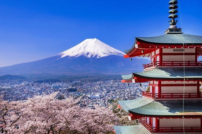 Tokyo: Mt. Fuji and Lake Kawaguchi 1-Day Luxury Bus Tour - Dining Experience: Kobe Beef Shabu-shabu