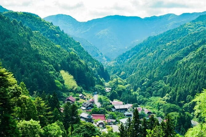 Tokyo Okutama Day Trip Tour - Tour Overview and Details