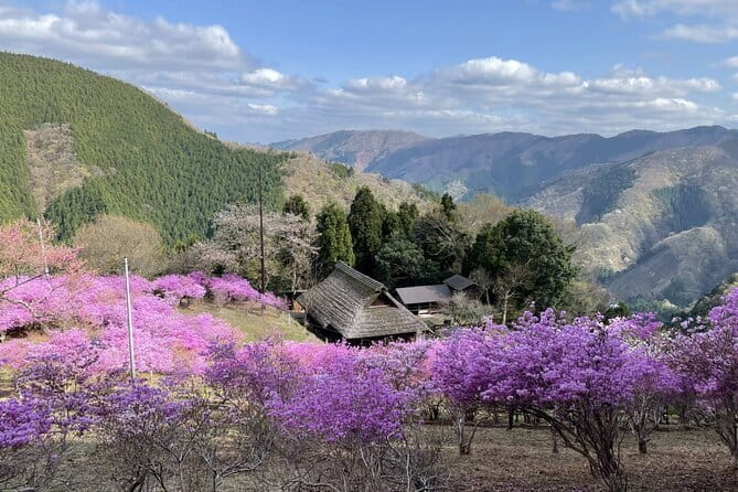 Tokyo Okutama Day Trip Tour - Cancellation and Additional Information