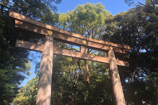 Tokyo Personalized Full-day Tour Led by a Local Expert - Seamless Logistics and Transportation