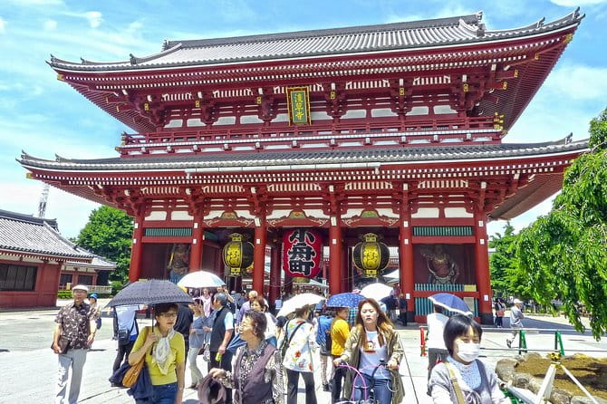 Tokyo Walking Tour With Professional Guide - Participation Requirements