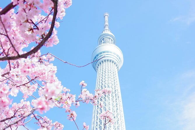 Tokyos Private Tour : From Ancient Temples to Modern Tokyo - Ascending the Tokyo Skytree