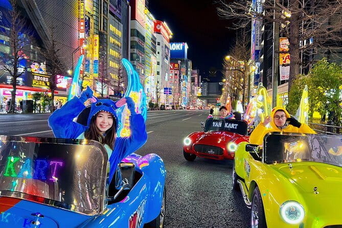 Tokyos Private Tour : From Ancient Temples to Modern Tokyo - Accessibility Features of the Tour