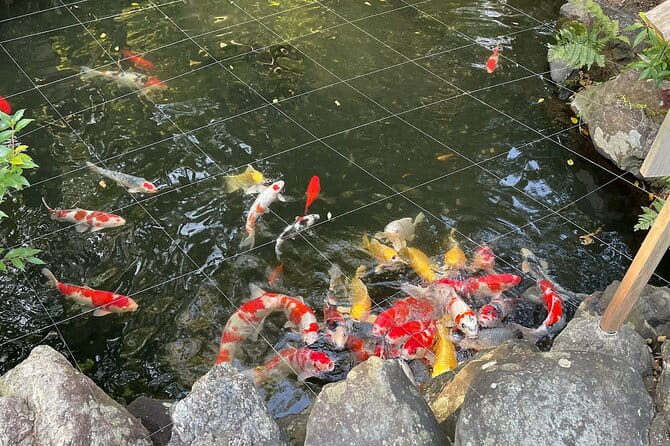 Tour Ise on a Rental Electric Scooter 90MIN - Exploring Ise on an Electric Scooter