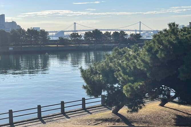 TSUKIJI Market Deep Dive & Lunch (Optional GINZA Tour & Tea) - Accessibility and Requirements