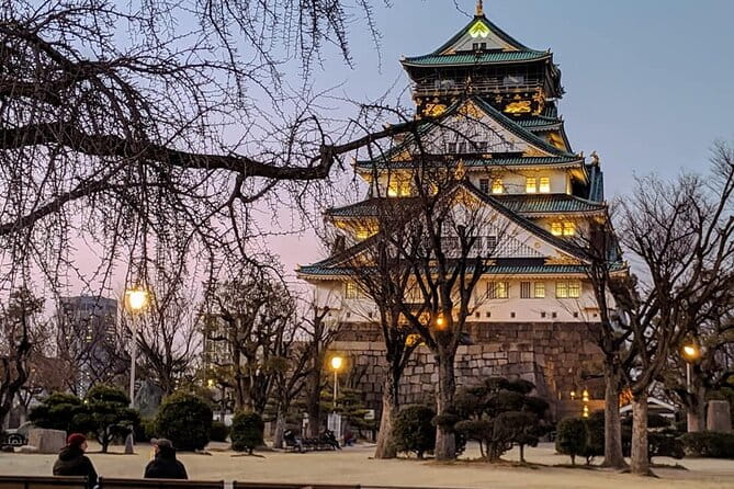 Unveiling Osaka Dotonbori and Namba A Private Half Day Lunch Tour - Important Considerations for Tour Participants