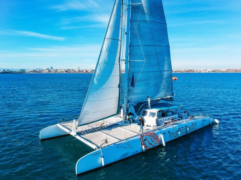 Valencia: Catamaran Cruise With Sunset Option - Important Information