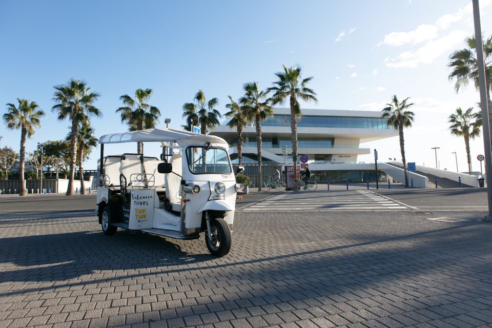 Valencia: Complete Tuk-Tuk Tour Around the City - Group Size and Accessibility
