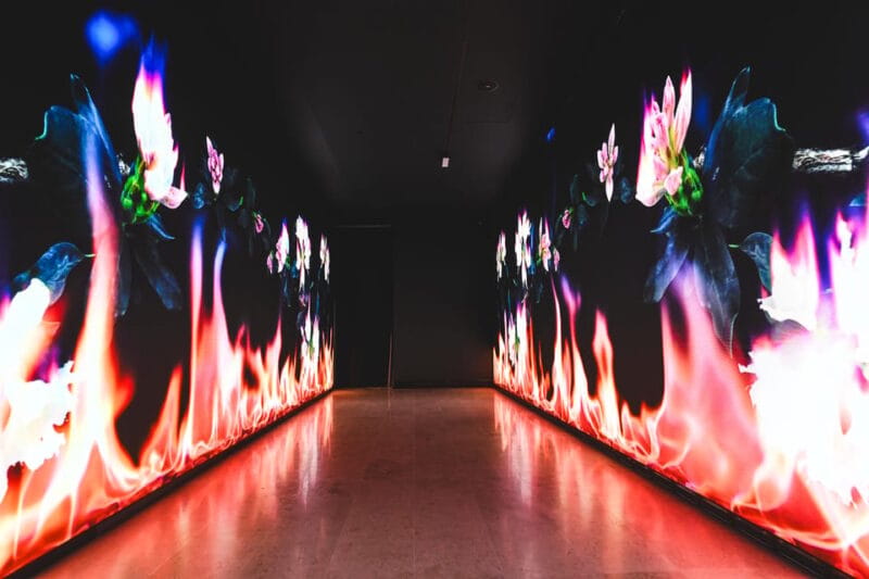 Valencia: Hortensia Herrero Art Center Ticket or Guided Tour - Art Center Highlights