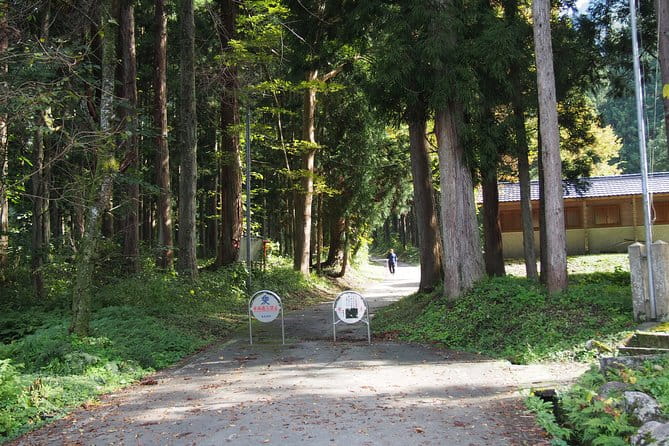 Walking & Cycling - Location and Meeting Point