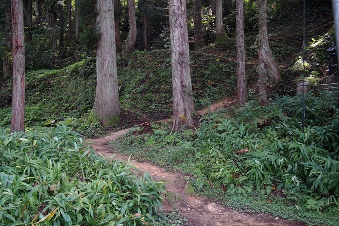 Walking & Cycling - Participant Information and Accessibility