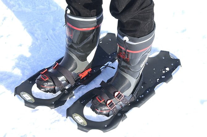 Winter Coastal Scenic Snowshoeing Experience. - Key Points