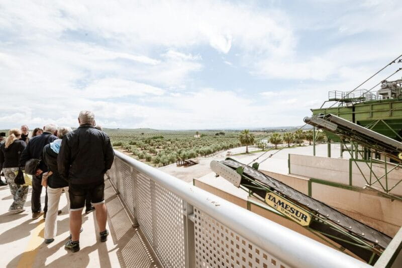 XXI Century Olive Oil Mill Tour - Tour Duration and Price