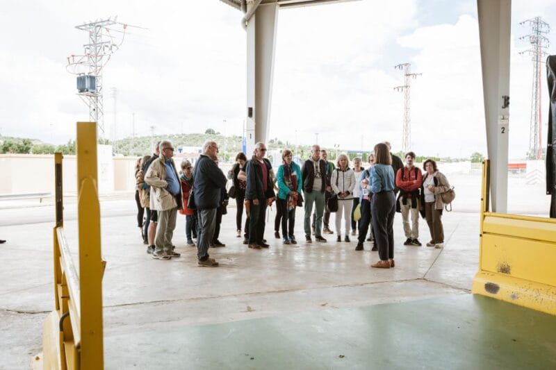 XXI Century Olive Oil Mill Tour - Sustainable Business Practices