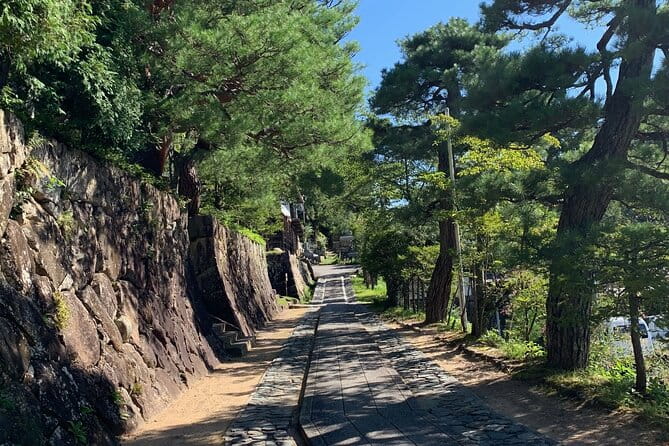 Zen Meditation and Higashiyama Temples Walking Tour - Health and Accessibility Information