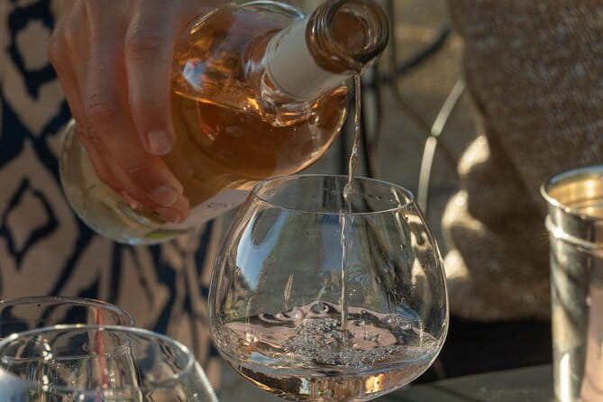 1/2 day, private wine tour, van from Saint Tropez - Discovering Provence’s Rosé and Terroir: A Private Wine Tour Review