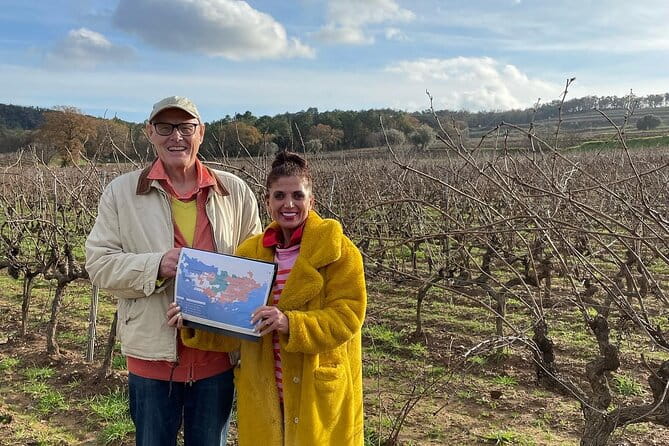 1/2 day, private wine tour, van from Saint Tropez - Price and Value