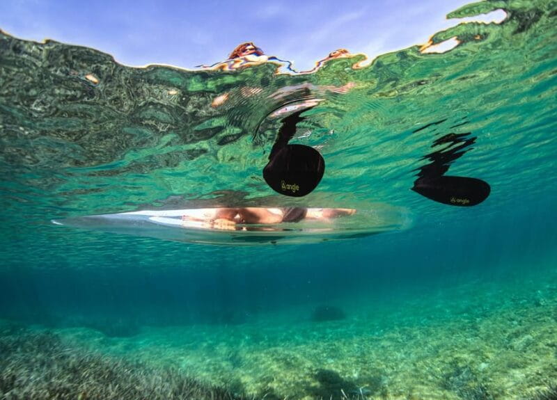 1.5-hour Clear Kayak Rentals: Explore the Underwater World - Price and Logistics: Value and Planning