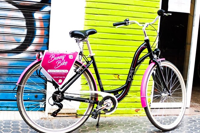 1 Day Bike Rental in Seville City - Included in the Rental