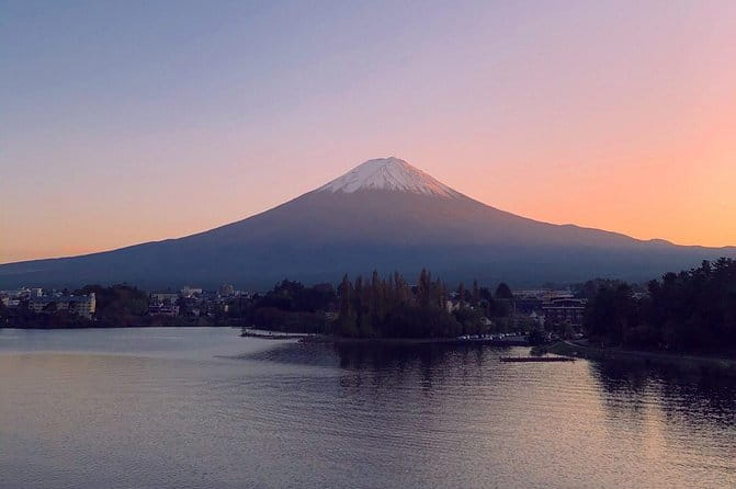 1 Day Charter Tour to Mt Fuji View - Driver and Vehicle Details